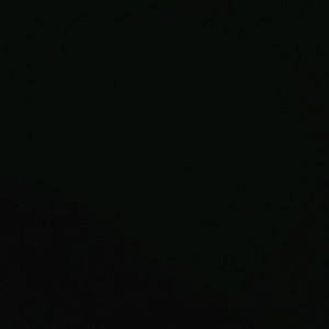 Meet your Posher, Chavez